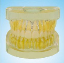 HST-A12 REMOVABLE STANDARD MODEL HST-A12 REMOVABLE STANDARD MODEL