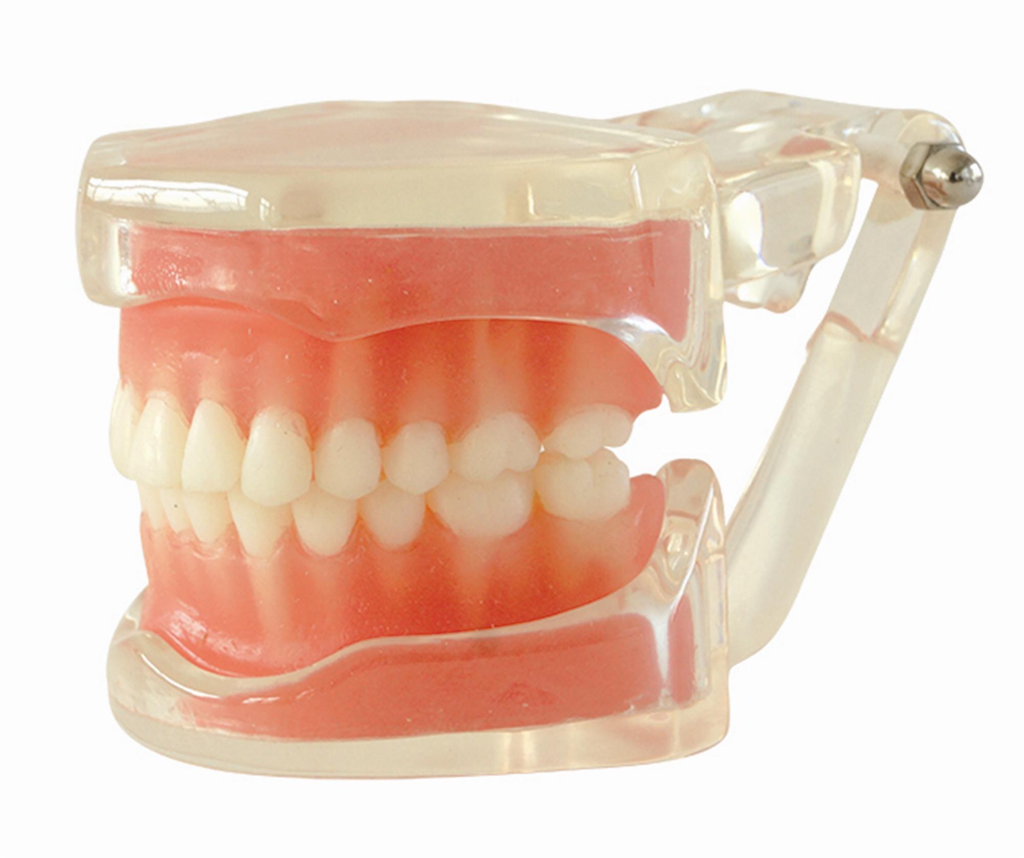 HST-A15 STANDARD MODEL HST-A15 STANDARD MODEL