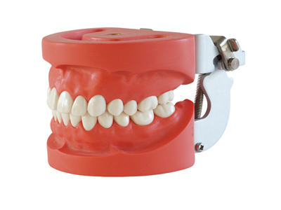 HST-A2 STANDARD MODEL HST-A2 STANDARD MODEL