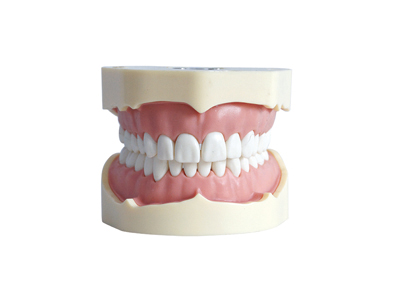 HST-A5 TYPE BF STUDY MODEL HST-A5 TYPE BF STUDY MODEL