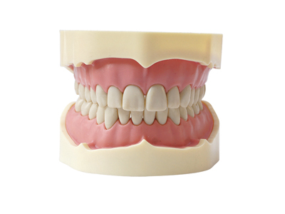 HST-A5-01 TYPE BF STUDY MODEL HST-A5-01 TYPE BF STUDY MODEL