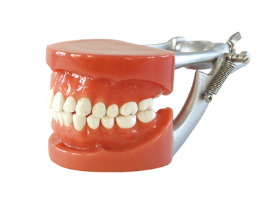 HST-A6 STANDARD MODEL HST-A6 STANDARD MODEL