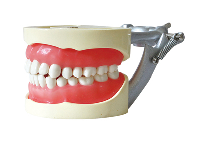 HST-A8 STANDARD MODEL HST-A8 STANDARD MODEL