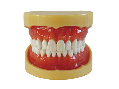 HST-A11 REMOVABLE STANDARD MODEL HST-A11 REMOVABLE STANDARD MODEL