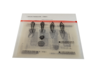 P6三倍標準牙體雕刻對照圖