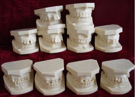 E6 正畸分類（單色）